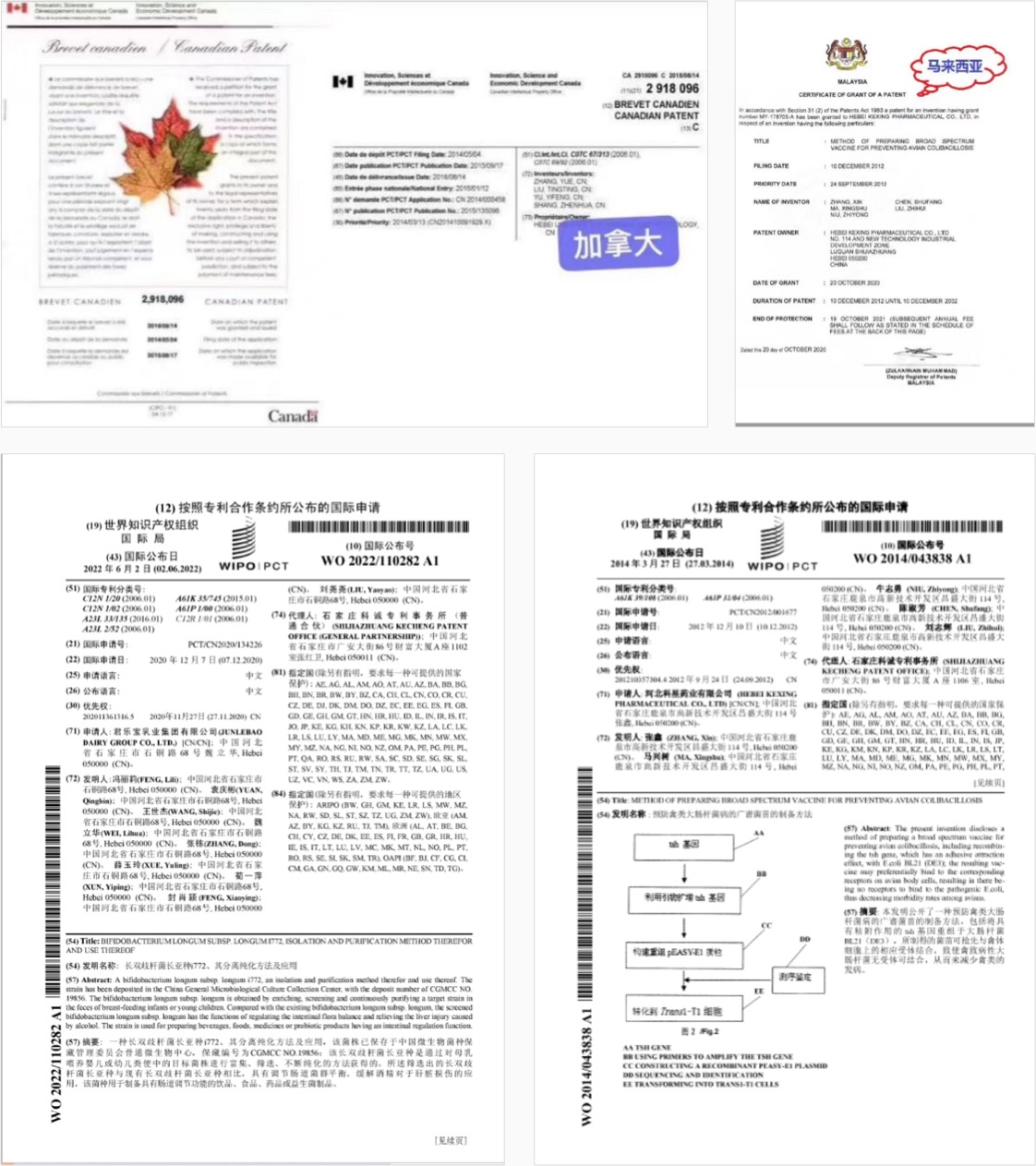 国际专利申请 案例.jpg